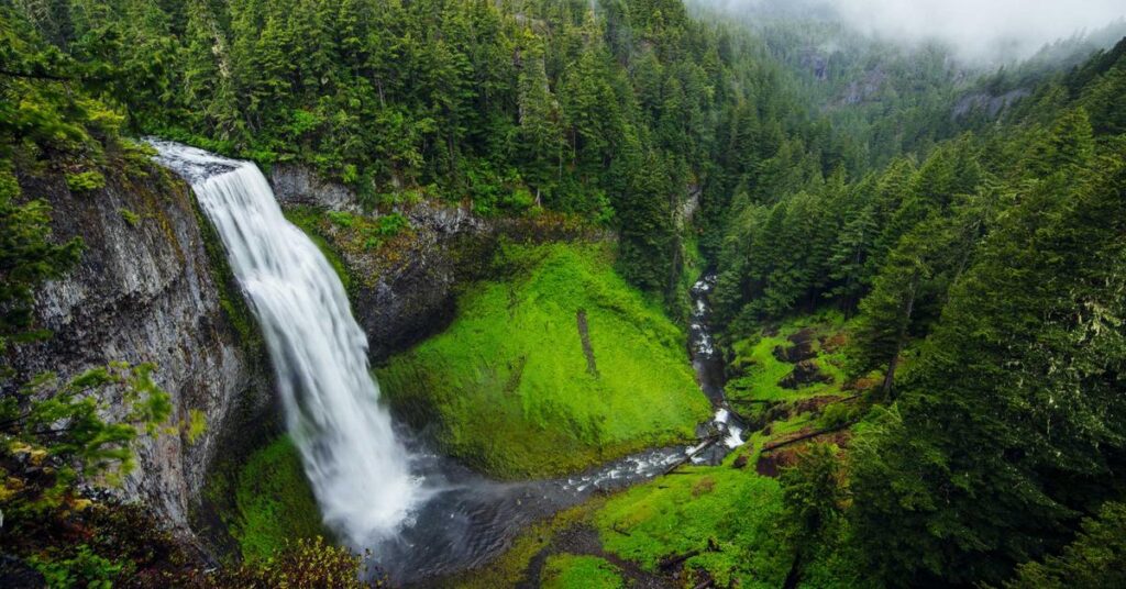 Shredding company Bronx NY - professional document shredding for Bronx businesses