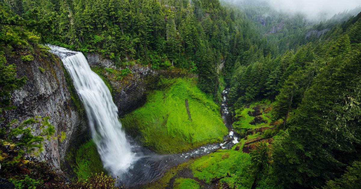 Shredding company Bronx NY - professional document shredding for Bronx businesses