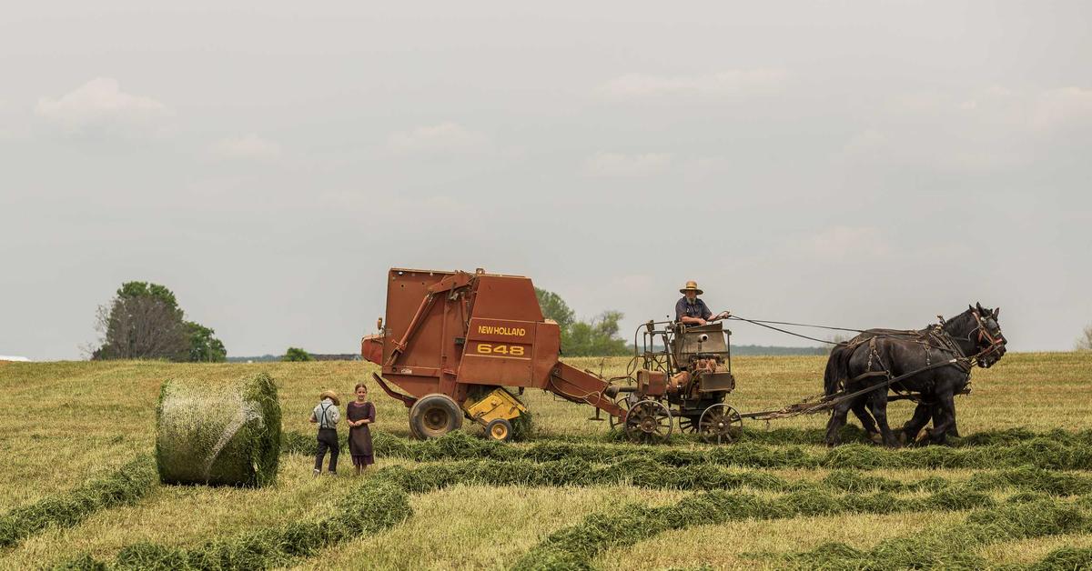 HR payroll records shredding compliance for New York businesses