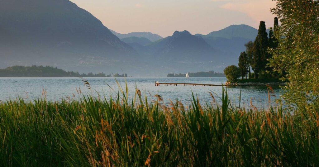 Document shredding after merger acquisition for New York businesses M&A records