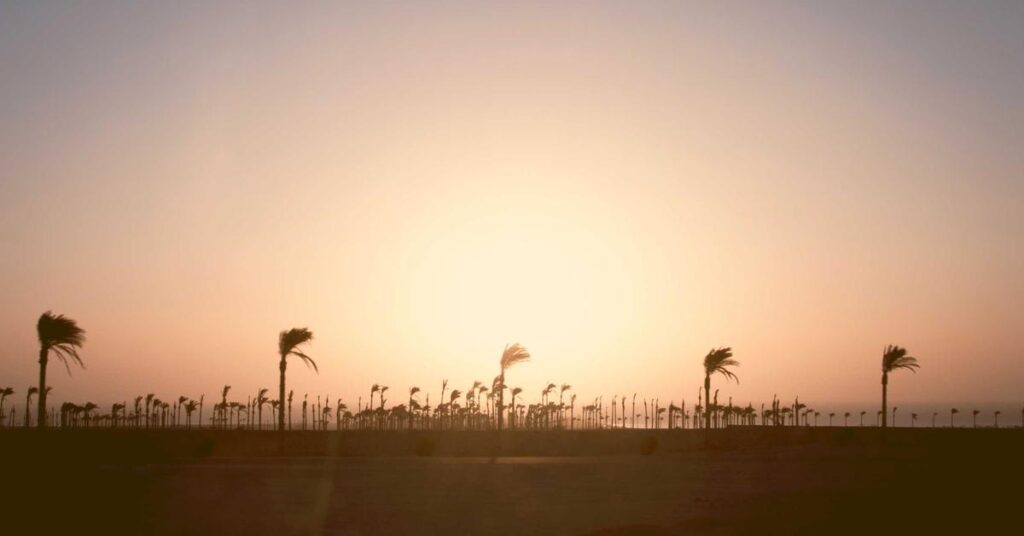 Shredding services Manhattan - professional document shredding for NYC businesses