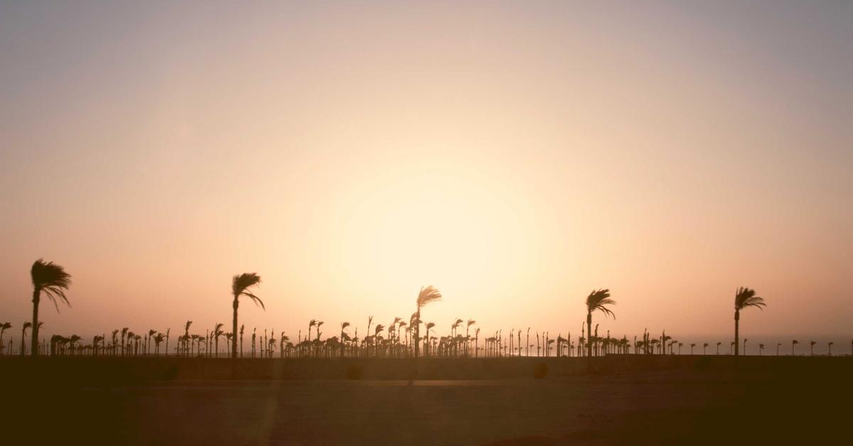 Shredding services Manhattan - professional document shredding for NYC businesses