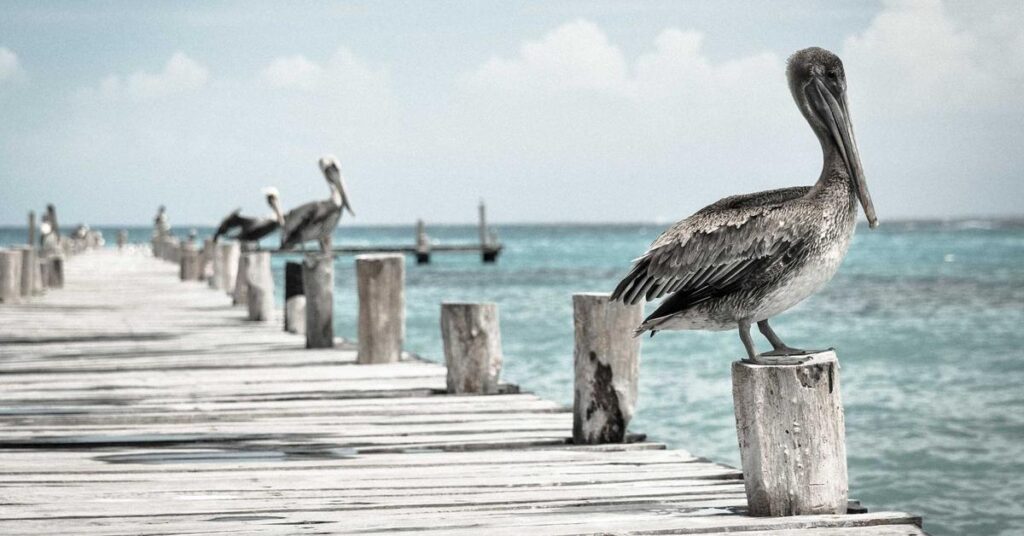 Shredding services Nassau County NY - document destruction on Long Island