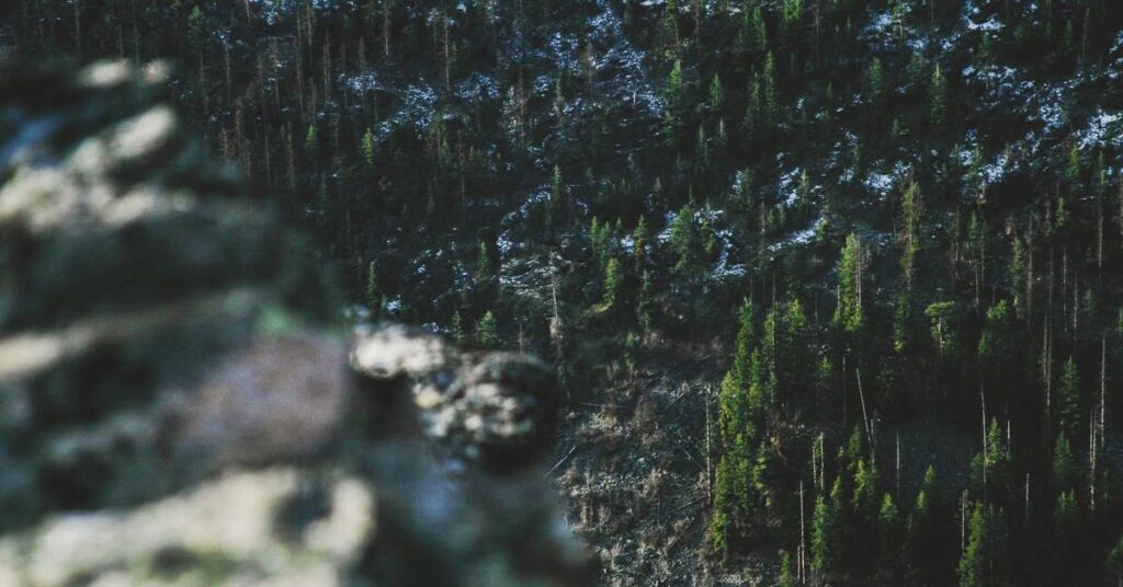 Shredding services Nassau County NY - certified document destruction for Long Island businesses