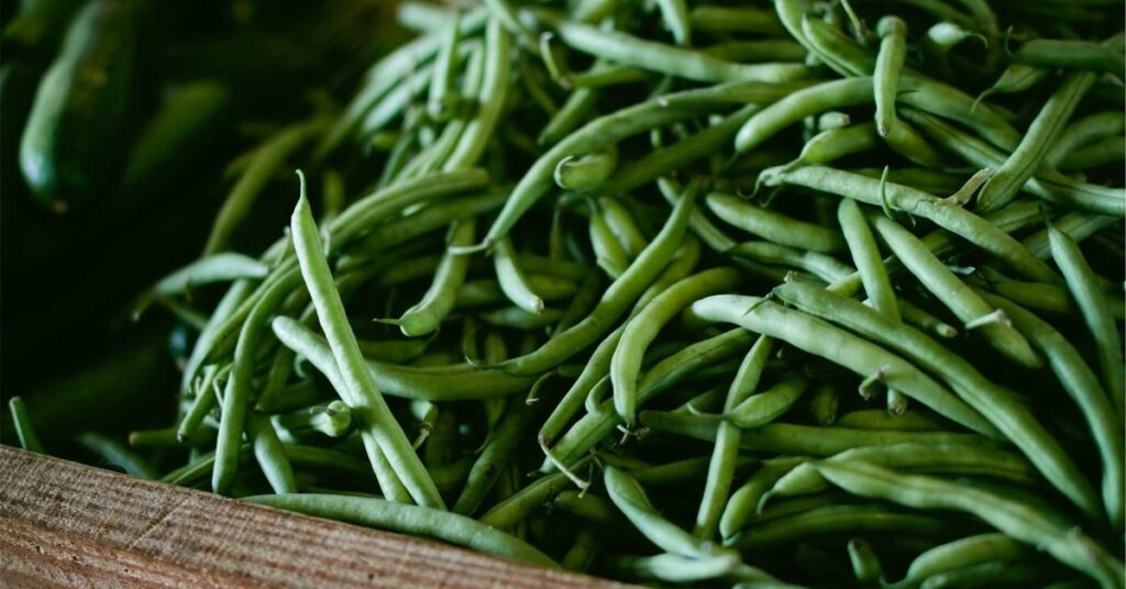 Shredding services Suffolk County NY - certified document destruction for Long Island businesses