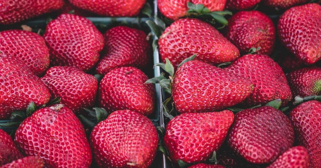 SOX compliance shredding financial records retention