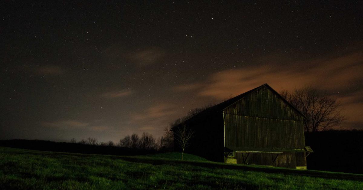 Senior reviewing documents for identity theft prevention through shredding