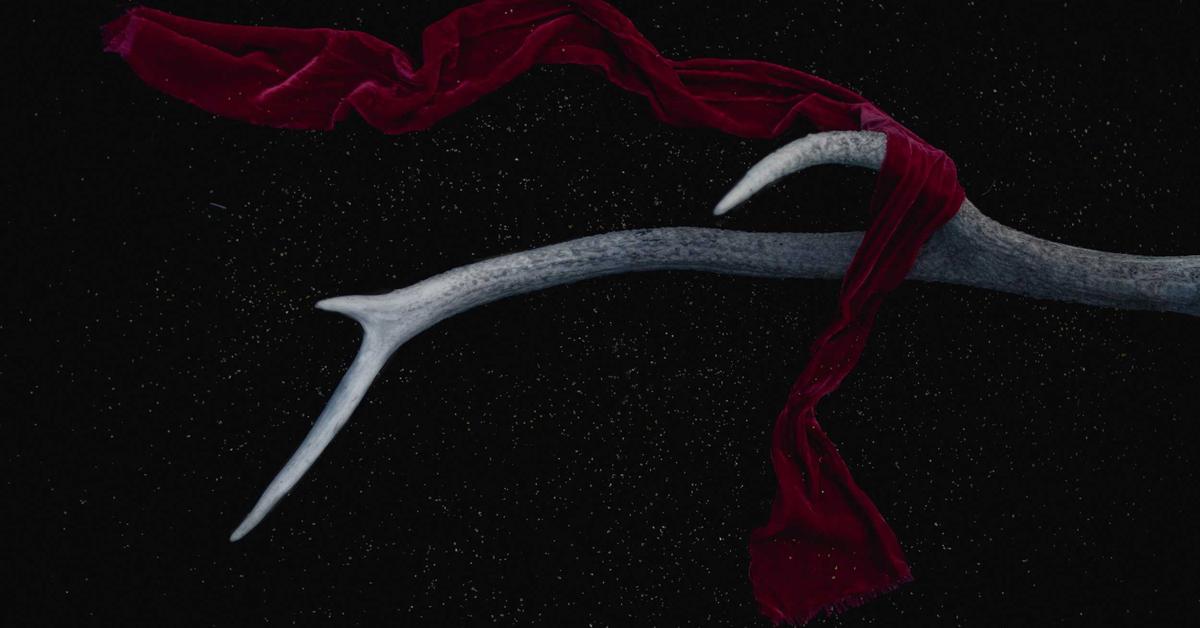 Law firm office with legal files and binders for document shredding