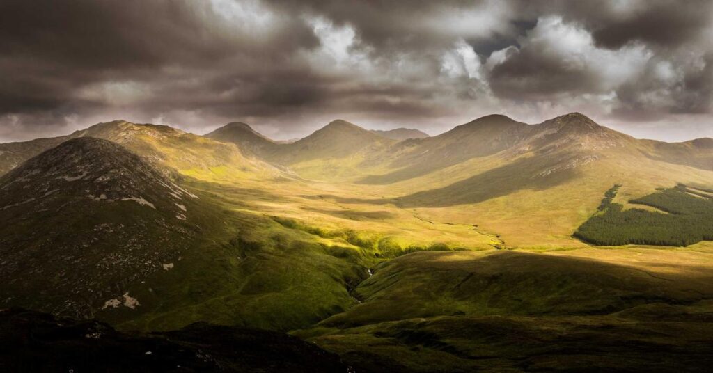 NAID AAA certification shredding companies gold standard security