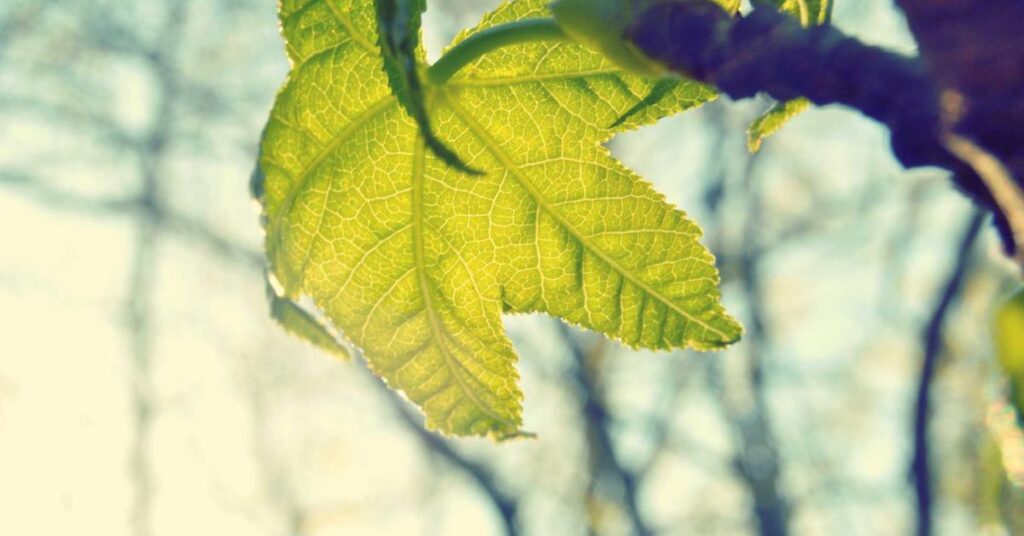 shredding console capacity office document storage