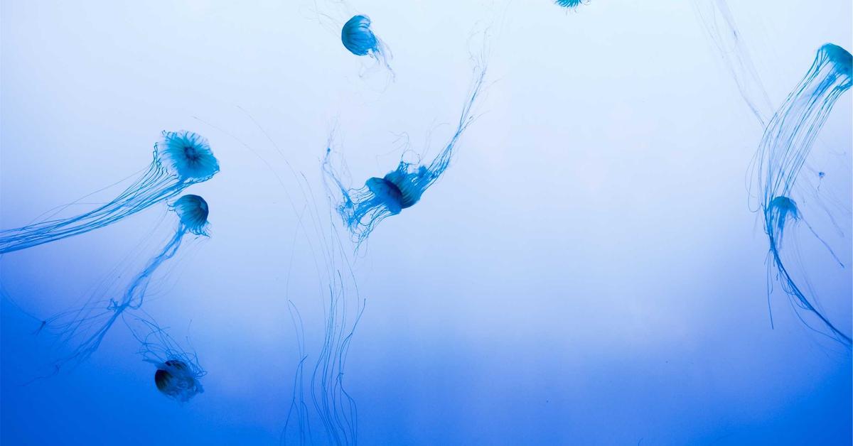 Shredding documents during office move for secure disposal