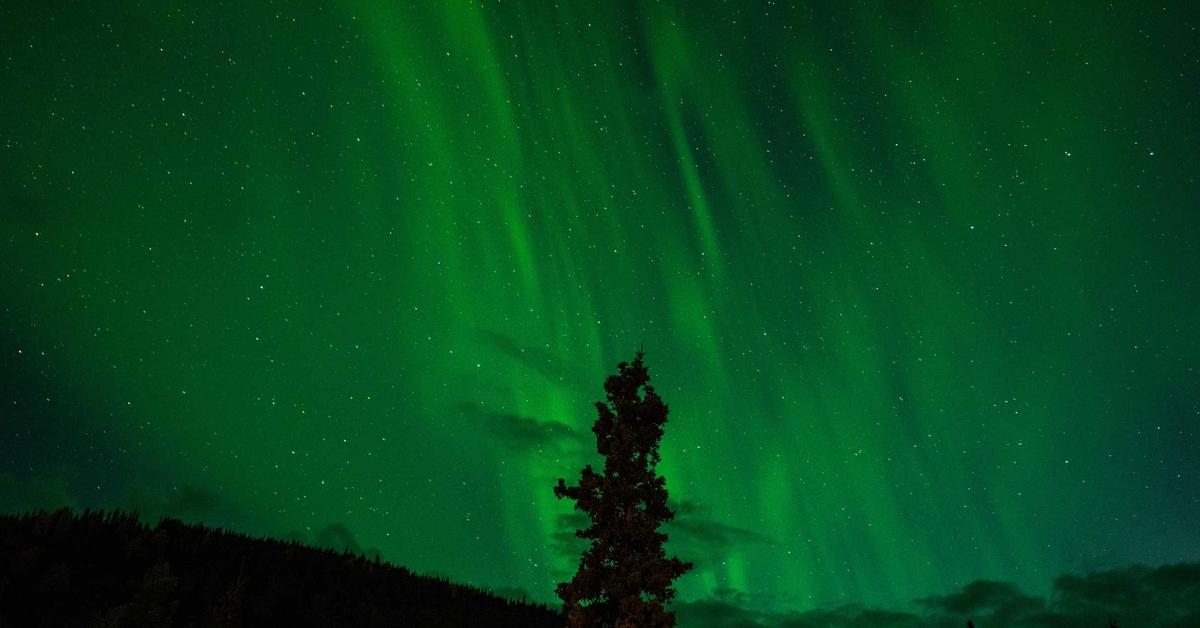 can shredded documents be reconstructed