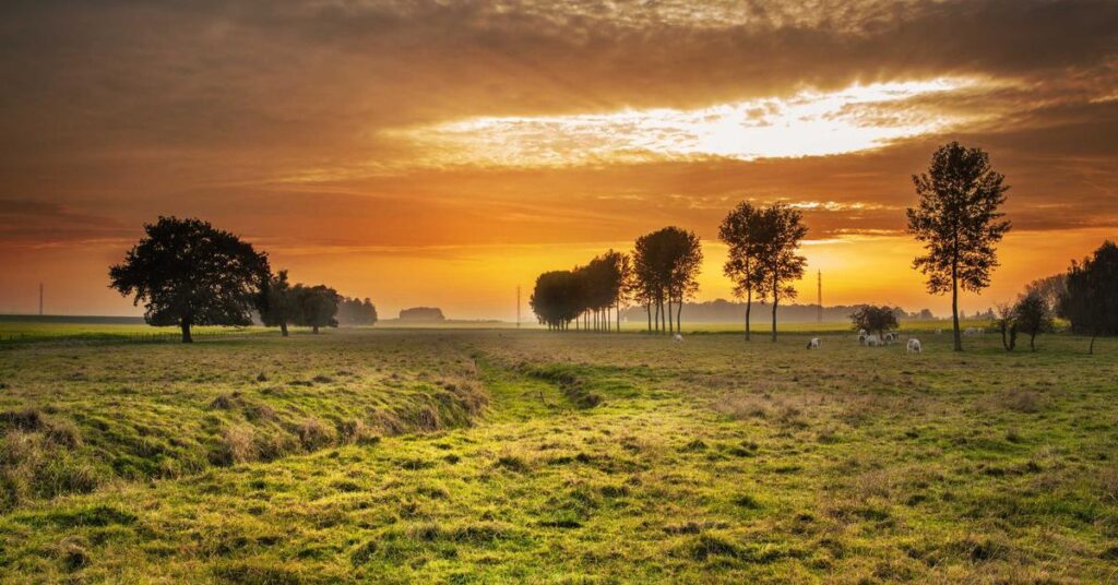 Document shredding service tax deductible expense for businesses